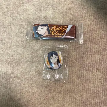 하이큐!! 롱 캔뱃지 컬렉션 시미즈 키요코 초회 생산분 한정 BOX 특전