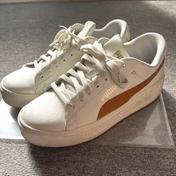 PUMA 화이트/브라운 스니커즈