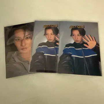 야마모토 코타 포토 카드 시크릿 노멀 세트