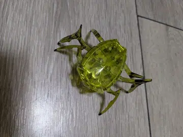 헥스버그 풍뎅이