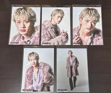 BUDDiiS 브로마이드 MORRIE