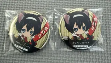 이즈미 쿄카 캔뱃지 2개 세트 문호 스트레이독스 at: 난자타운