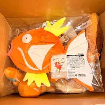 반짝반짝 박스 2026