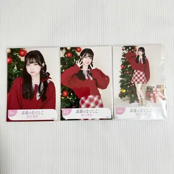 호시타니 미쿠 윈터 윈터 컴프 브로마이드 타카네노 나데시코 타카네코