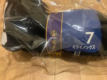 다이토 복권 A상 큰 봉제 인형 이퀴녹스