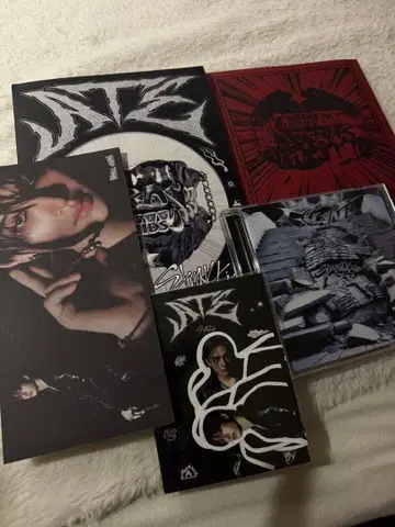 StrayKids 앨범 CD 씰 포함