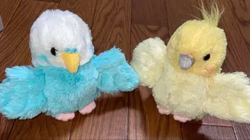 사랑앵무 코카투 앵무 봉제 인형