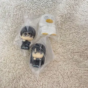 은혼 3년 Z반 긴파치 선생님 기다림 카츠라 엘리자베스 신파치