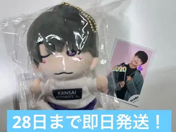 타카하시 쿄헤이 치비 누이 + 공식 사진