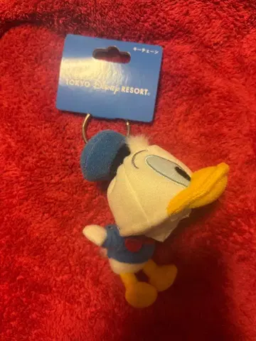 도쿄 디즈니 리조트 도널드 덕 키체인