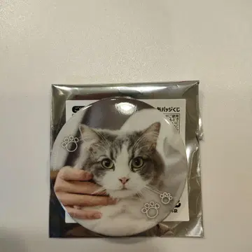 사토미 군 캔뱃지 복권