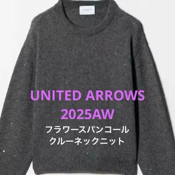 2025AW 유나이티드 애로우즈 니트 플라워 스팽글 크루넥