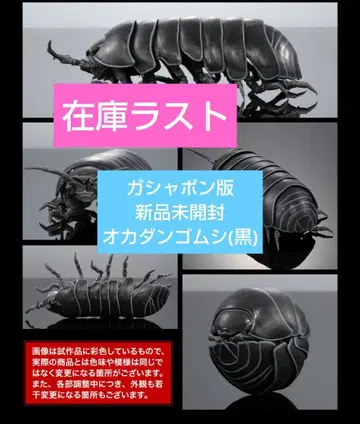 생물대도감 어드밴스 공벌레 가샤폰판 공벌레(블랙)