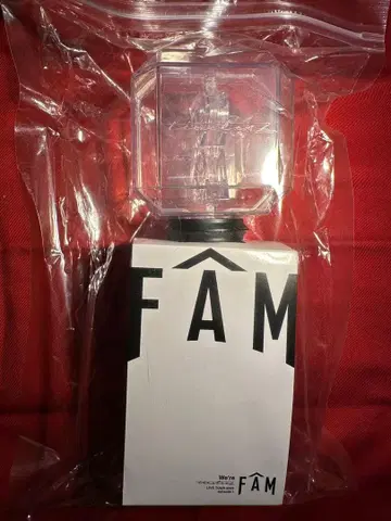 FAM We're timelessz LIVE TOUR 응원봉