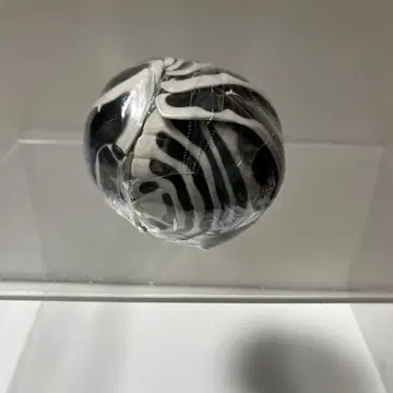 생물대도감 어드밴스 공벌레 (중도장판) 제브라 공벌레 온라인판