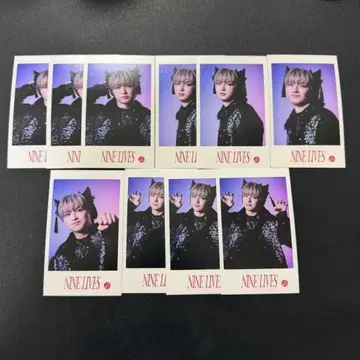 초특급 유키 미니 사진 컴프