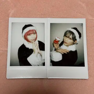 Royz 당일 폴라로이드 스바루 코다이