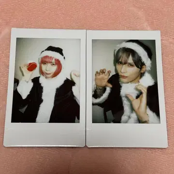 Royz 당일 폴라로이드 스바루 코다이