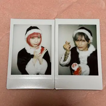 Royz 당일 폴라로이드 스바루 코다이