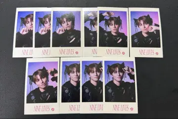 초특급 타카시 미니 포토 컴프