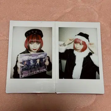 Royz 당일 폴라로이드 코다이