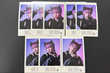 초특급 슈야 미니 사진 세미 컴프