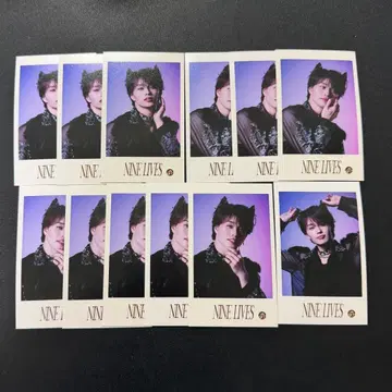 초특급 마사히로 미니 사진 세미 컴프