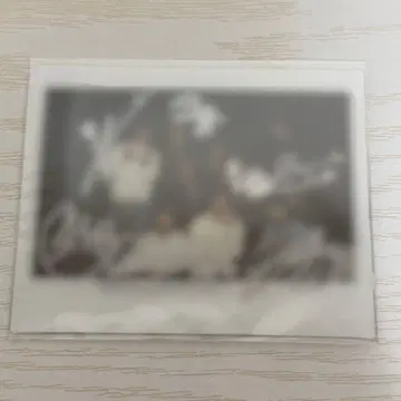 NTX 친필 사인 폴라로이드