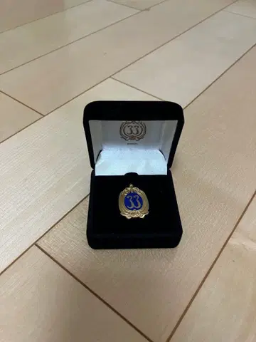 디즈니 캘리포니아 클럽 33 핀 케이스 포함