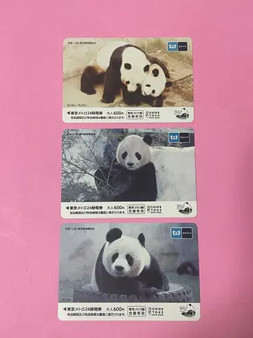 우에노 동물원 칸칸 란란 메트로 카드 3장 팬더