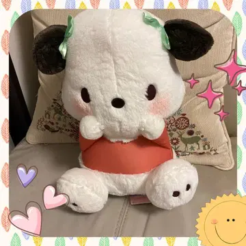 산리오 캐릭터즈 동글동글 귀 BIG 봉제 인형 포차코