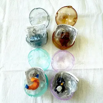 DAISUKE KONDO 메지루시 액세서리