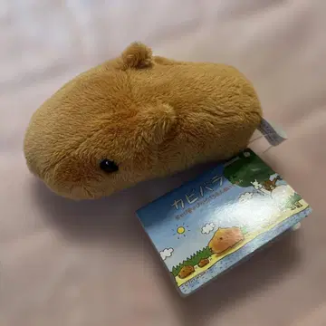 카피바라 씨 봉제 인형