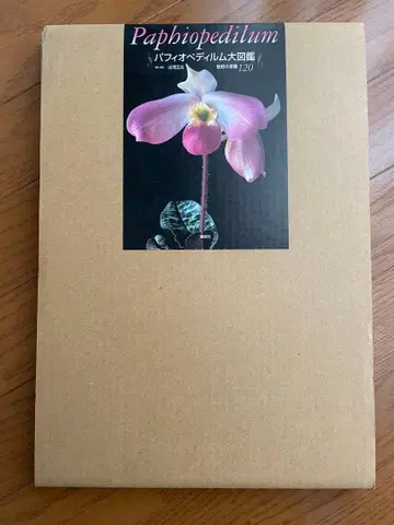 [ 파피오페딜룸 대도감 매혹의 원종 120 ]