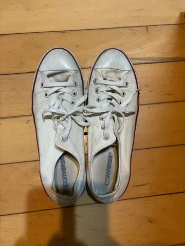 컨버스 올스타 화이트