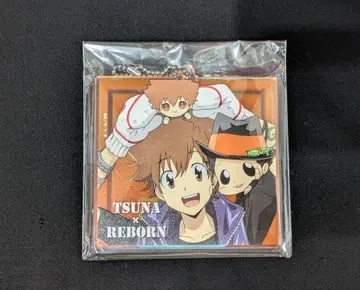 가정교사 히트맨 REBORN! 히코쿠지 특전 오로라 키링 사와다 츠나요시