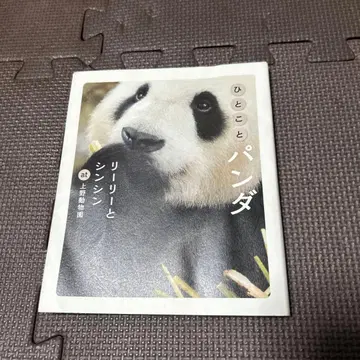 한마디 팬더 리리와 신신 at 우에노 동물원