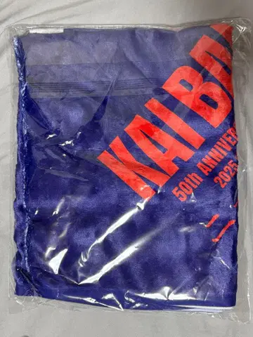 카이 밴드 2025/12/26 토요스 PIT VIP석 특전 오리지널 담요