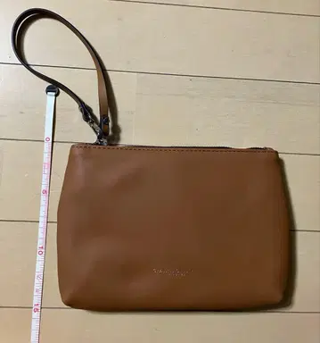 지아니카리니 백인백