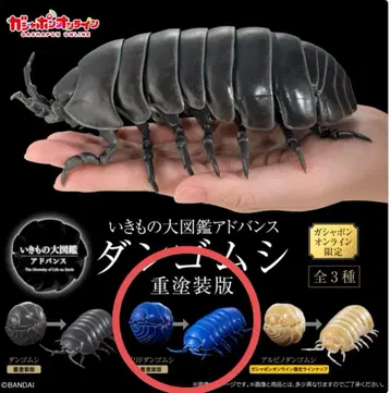 생물대도감 이리도단 애벌레 중 도색판