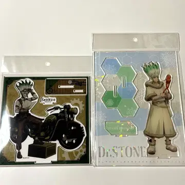 Dr.STONE 아크릴 스탠드 투링 눈놀이 이시가미 센쿠