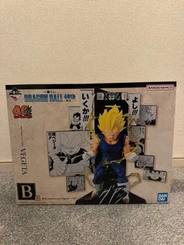 드래곤볼 40주년 베지터 피규어 덤 포함