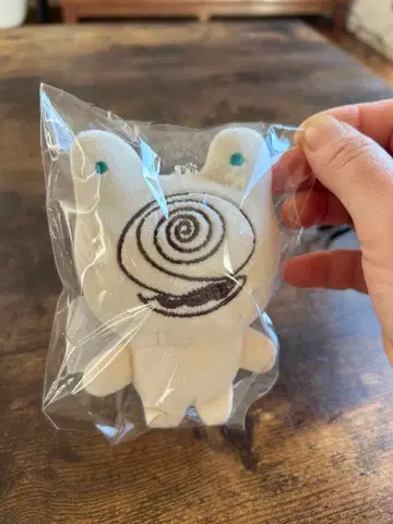 벽 도마뱀 키링 레오나르도