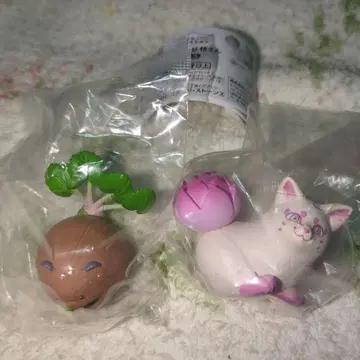 채소 요정님 vol.3 연근, 와사비버 세트