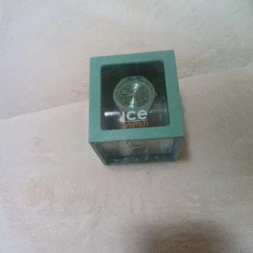 ICE WATCH 그린 아날로그 손목시계
