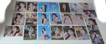 니지유 릴 랜덤 랜트 CoconutFes 22장 컴플리트