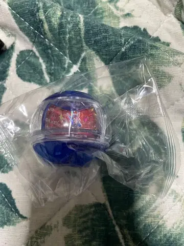 캡슐 빌드 반짝반짝 버전