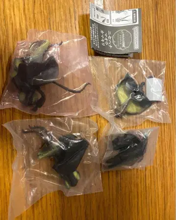 생물대도감 니세하나마오사마귀 1령 유충 블랙 (캡슐 Ver)