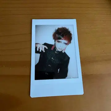 R지정 Z 폴라로이드