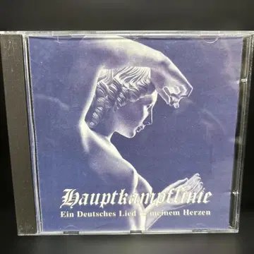 하우프트캄프플리니에